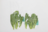 Custom Plastic Clear Packaging Bag Resealable Self Adhesive Opp Cellophane Seal